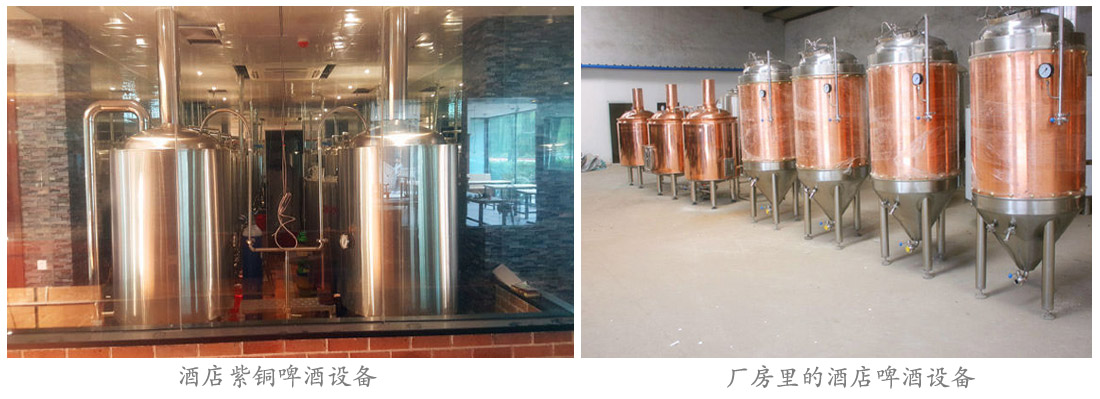 紫銅精釀啤酒設(shè)備 紫銅精釀啤酒設(shè)備