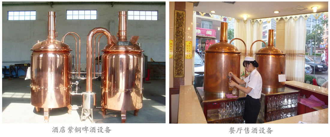 紫銅啤酒設(shè)備 紫銅啤酒設(shè)備