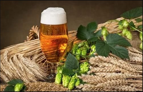 精釀啤酒原料--山東豪魯廠家供應(yīng) 精釀啤酒原料--山東豪魯廠家供應(yīng)